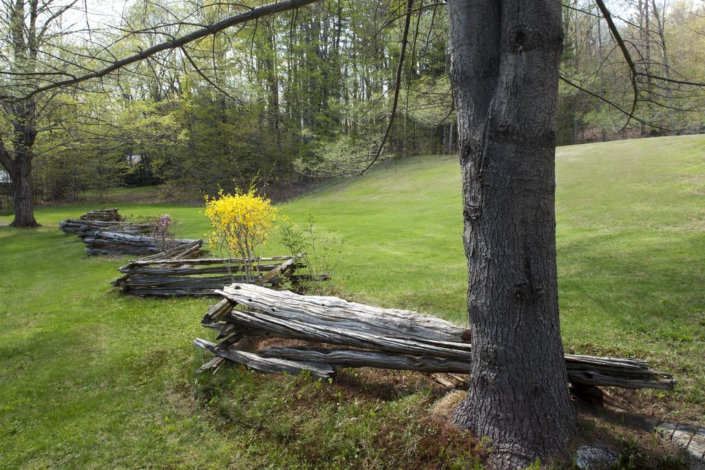 Inn On Golden Pond Holderness Exterior foto